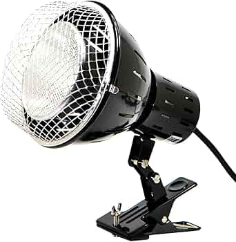 81N4ZIkJ9oL._AC_UF350,