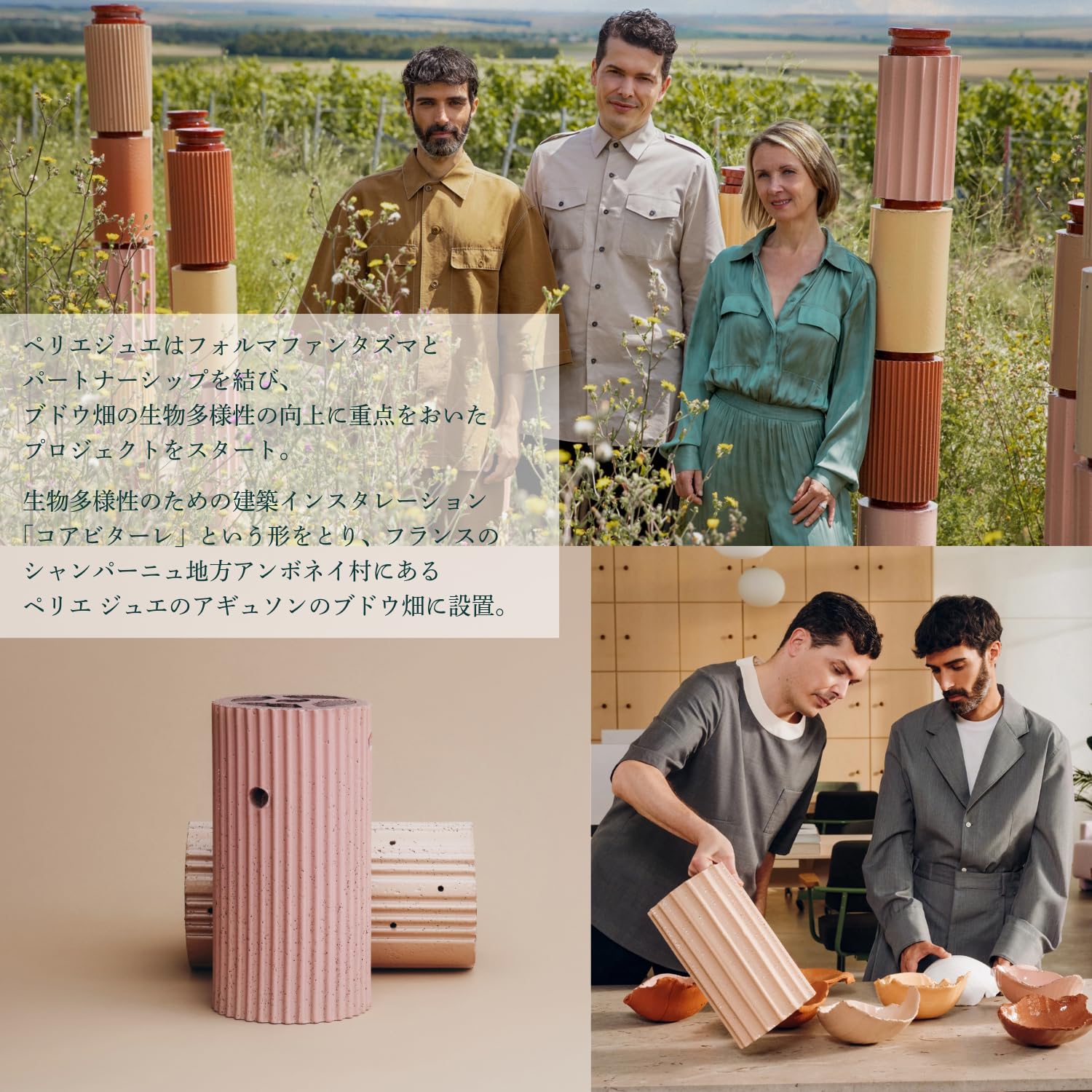 Amazon.co.jp: 【デザイナーコラボ ボックス】ペリエ ジュエ ベル