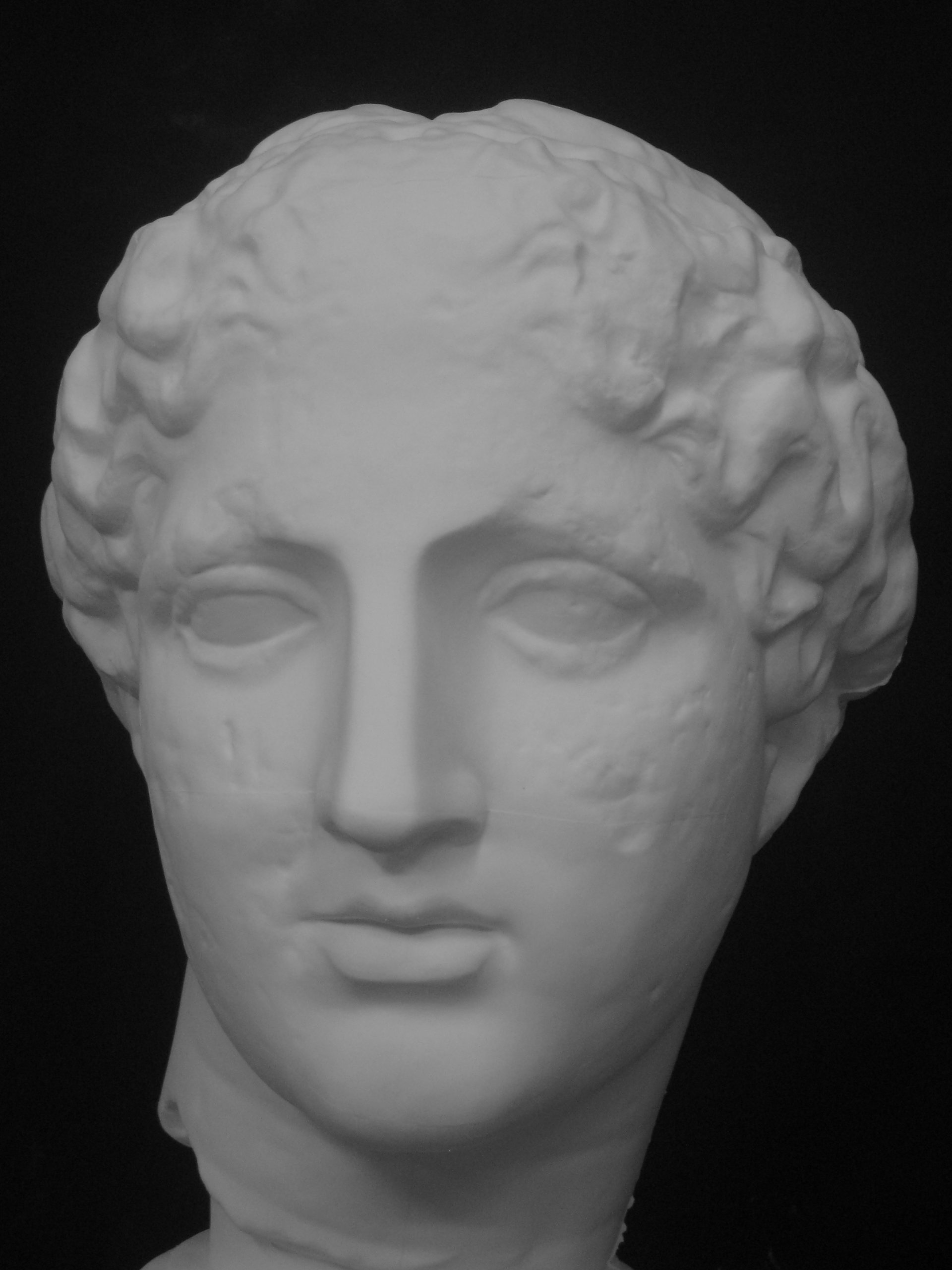 Amazon.co.jp: 石膏像 S－202 パルテノン首像（ラボルト） H