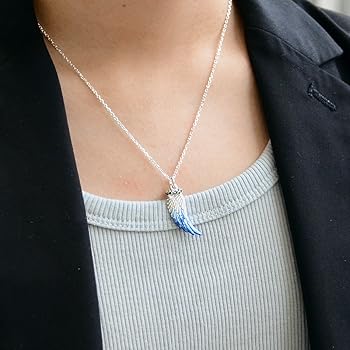 Amazon | [アクアシルバー] ネックレス メンズ シルバー フェザー