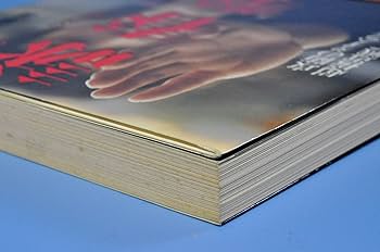 詠春拳入門 | 川村 祐三 |本 | 通販 | Amazon