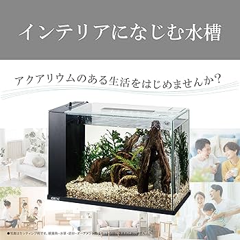 Amazon | ジェックス GEX アワーズブラック アクアリウム用インテリア