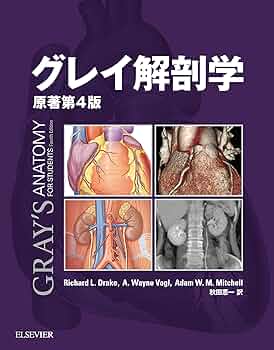 81REDdXacEL._AC_UF350,