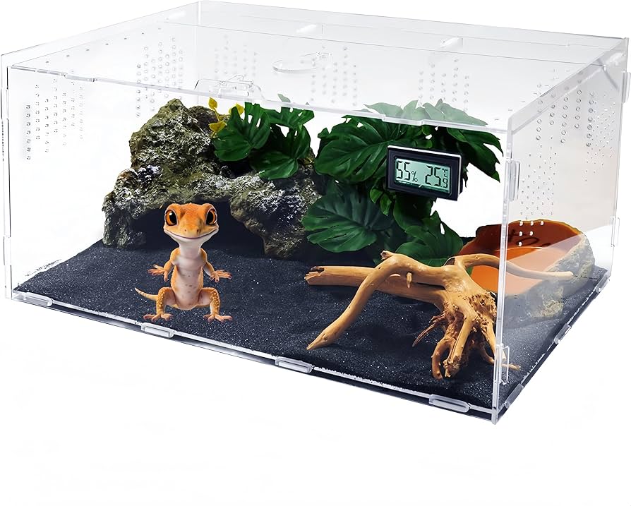 Amazon | Niesporek 爬虫類 ケージ トカゲ ケージ カナヘビ飼育ケース