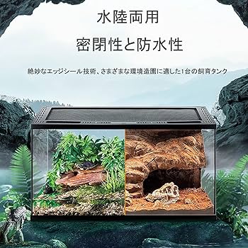 Amazon | NEONMAN 両生類飼育ケージ 爬虫類用ガラスケージ グラス