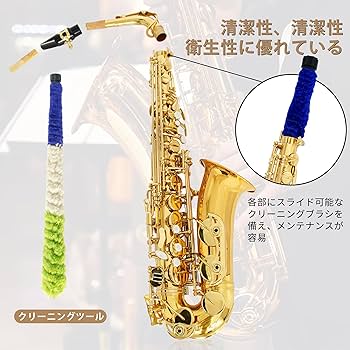 Amazon.co.jp: サックス 初心者 アルトサックス Eb Saxophone ゴールド