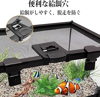 Amazon.co.jp: 爬虫類 ケージ 飼育ケージ 両生類 トカゲ ケージ 爬虫類