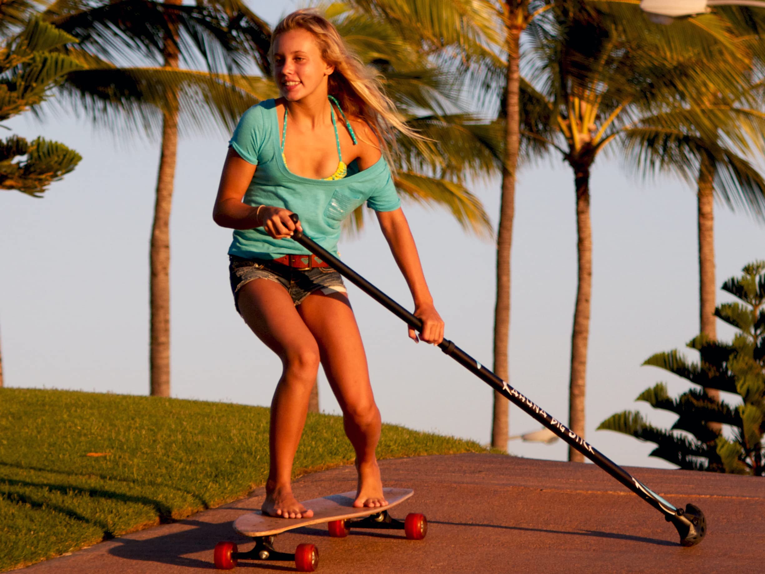 Amazon.co.jp: Kahuna Creations ランドパドル ロングボード スケート