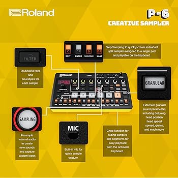 Amazon.com: Roland AIRA Compact P-6 Creative Sampler | Granular