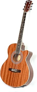 Amazon | Sepia Crue セピアクルー エレアコギター EAW-01/MH