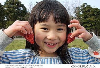 Amazon | Nikon デジタルカメラ COOLPIX A10 シルバー 光学5倍ズーム