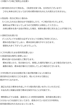 Amazon.co.jp: 大型ドイツ型標本箱（茶） : おもちゃ