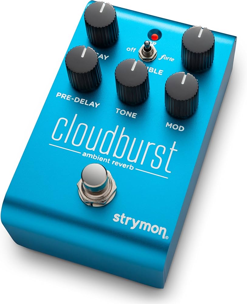 Amazon.com: Strymon Cloudburst Ambient Reverb Guitar Pedal with