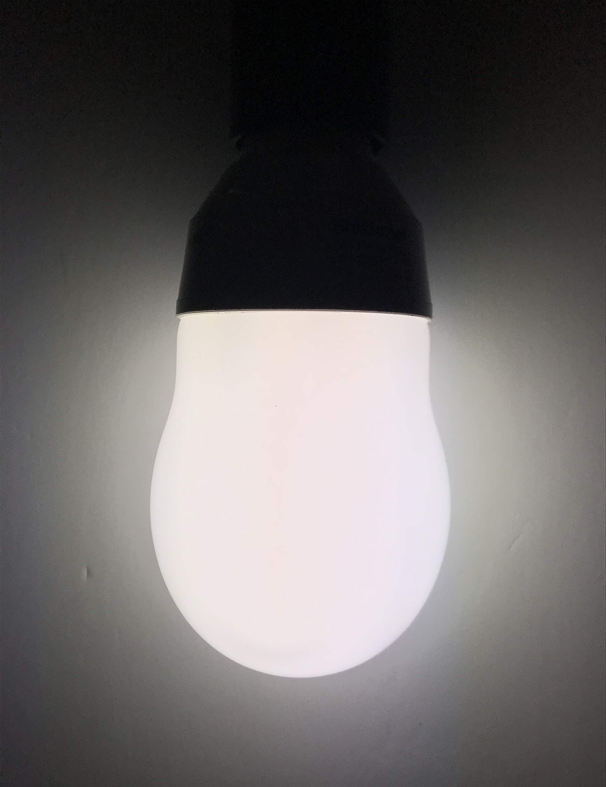 Amazon | National ナショナル パルックボールYOU 電球型蛍光灯