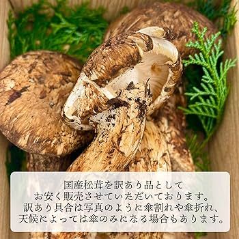 Amazon.co.jp: 松茸 国産 訳あり 家庭用 200g 国産(長野県 他