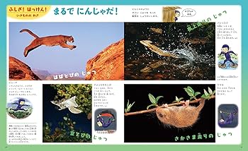 Amazon.co.jp: ふしぎの図鑑 (小学館の子ども図鑑プレNEO) : 白數 哲久: 本