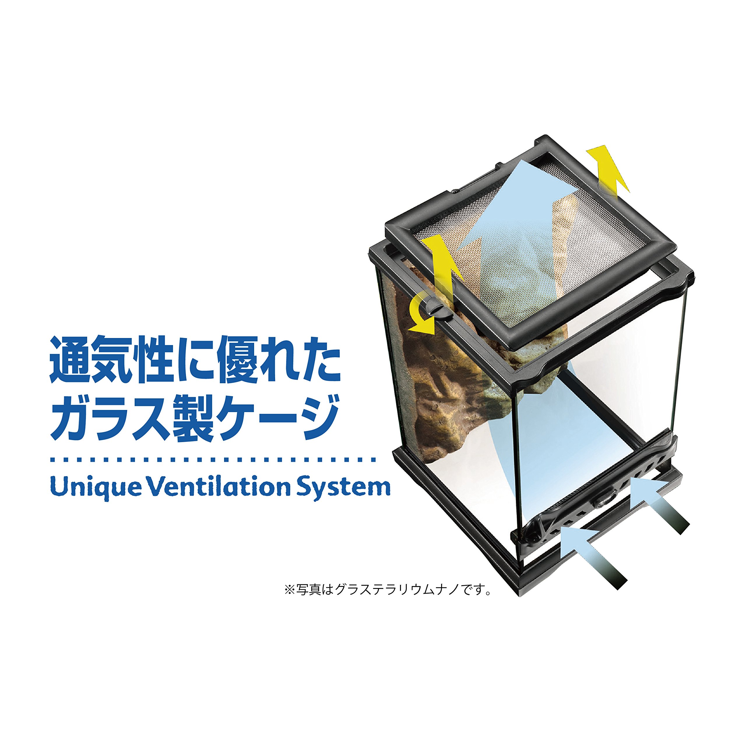 Amazon | エキゾテラ GEX EXOTERRA グラステラリウム9030 PT2611