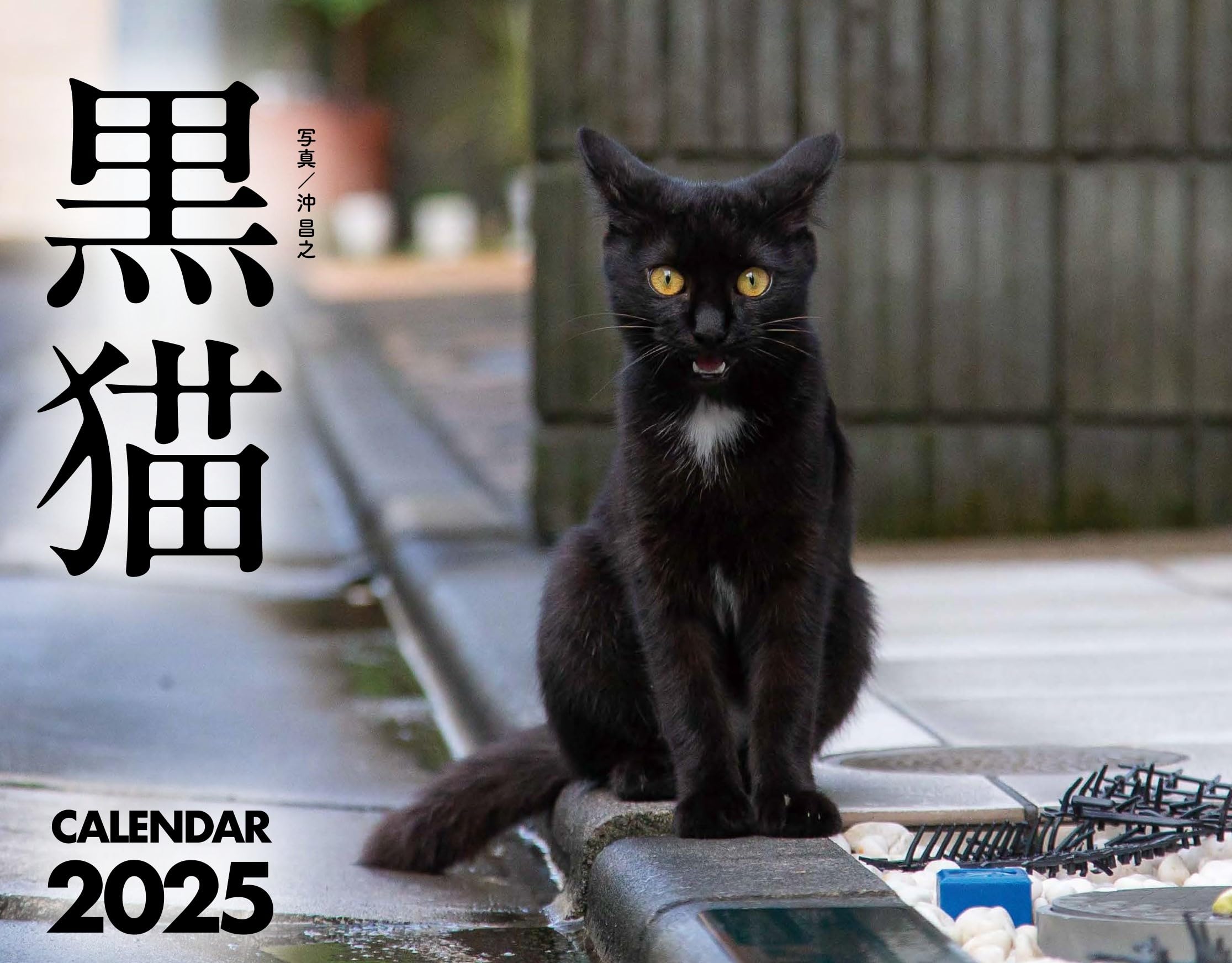黒猫カレンダー2025 ([カレンダー]) | 沖 昌之 |本 | 通販 | Amazon