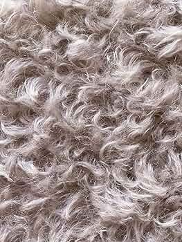 81m9iApSUnL._AC_UF350,