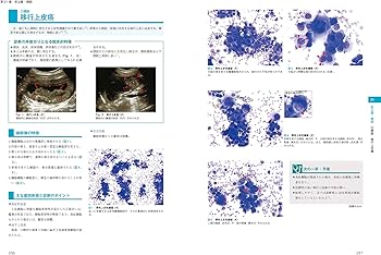 犬と猫の実践 細胞診アトラス | 酒井 洋樹, 酒井 洋樹 |本 | 通販 | Amazon
