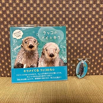 Amazon.co.jp: ラッコのメイとキラ 写真集 鳥羽水族館 : おもちゃ
