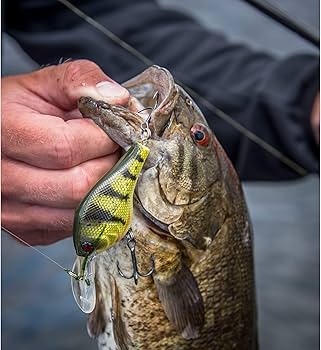 Amazon.co.jp: Berkley 1431324 Digger釣りハード餌、セクシーな背中