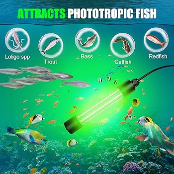 Amazon.com: Crtbelfy Underwater Fishing Light Compatible for