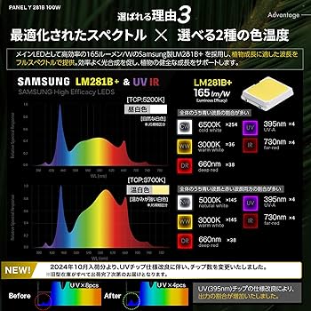 81s-FCJCLoL._AC_UF350,
