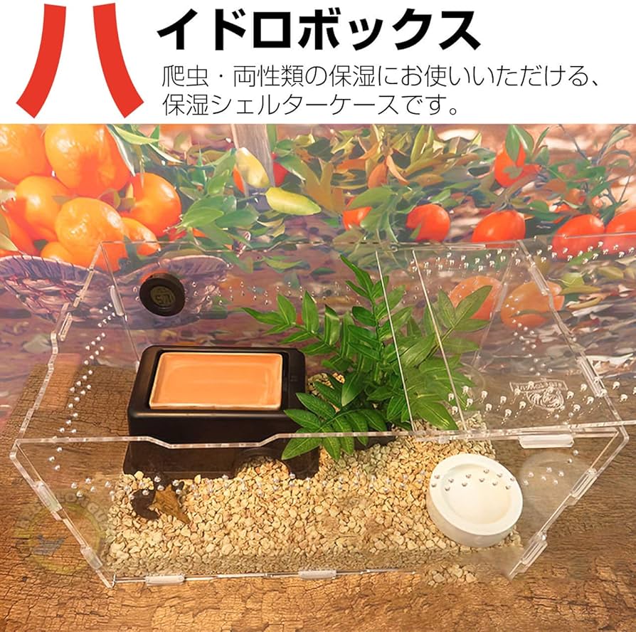 Amazon | ECONUS 爬虫類 隠れ家 シェルター ハウス 両生類 保湿洞窟