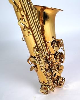 Amazon.co.jp: Kaerntner ケルントナー テナーサックス KTN-65