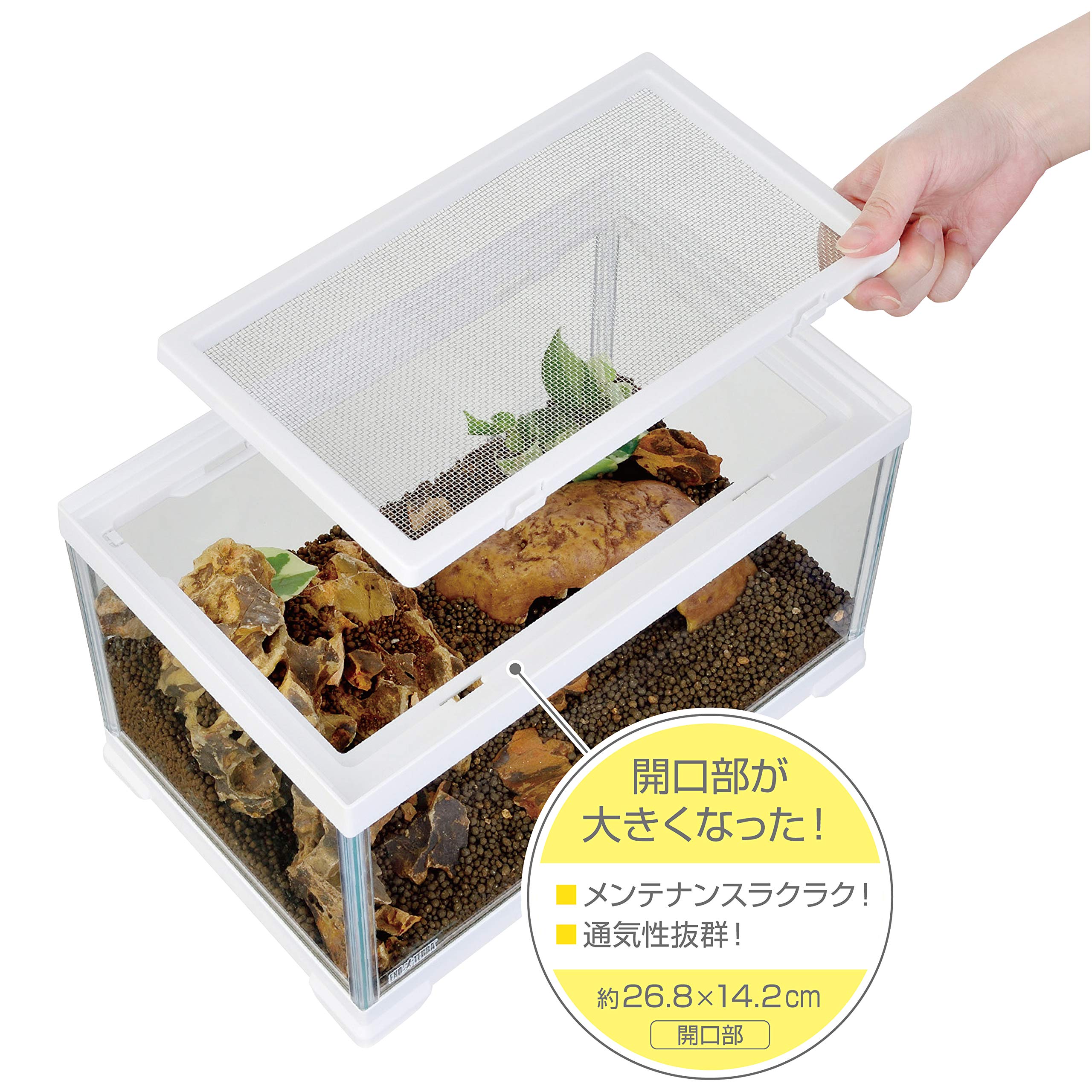 Amazon | エキゾテラ GEX EXOTERRA レプテリアホワイト300 Low 小型