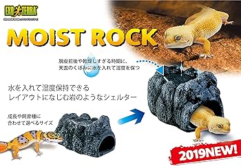 Amazon | GEX EXOTERRA モイストロック200 PT3173 爬虫類用シェルター