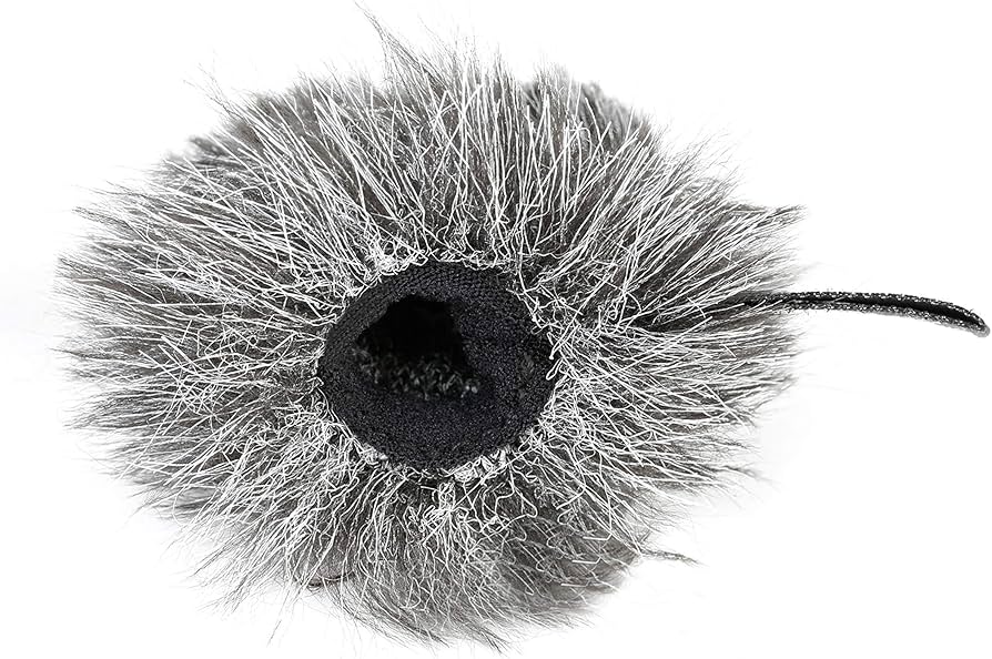 Amazon.com: Saramonic Furry Windscreen for Saramonic SR-XM1