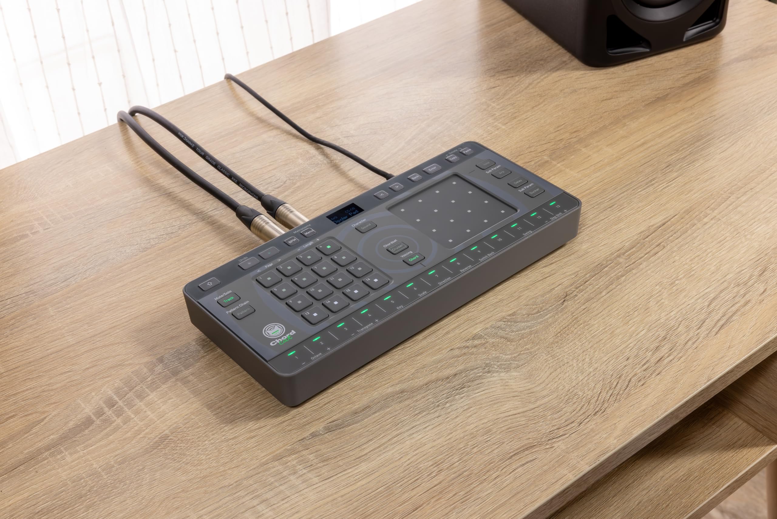 Amazon.com: Alpha Theta Chordcat 8-Track groovebox : Musical