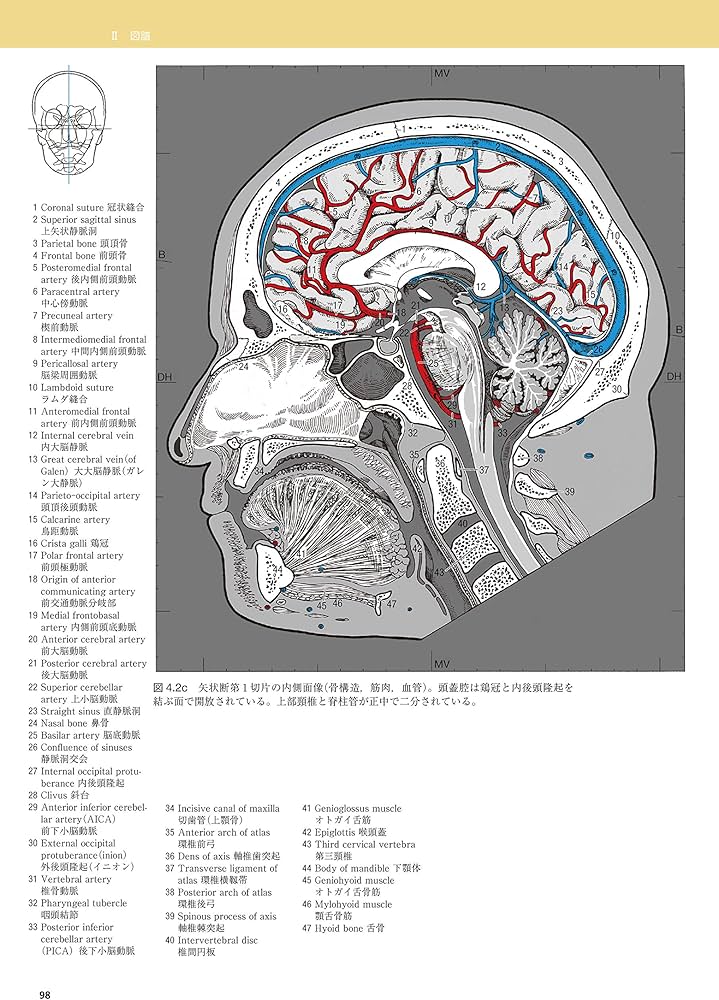 脳の機能解剖と画像診断 第2版 | 眞柳 佳昭 |本 | 通販 | Amazon