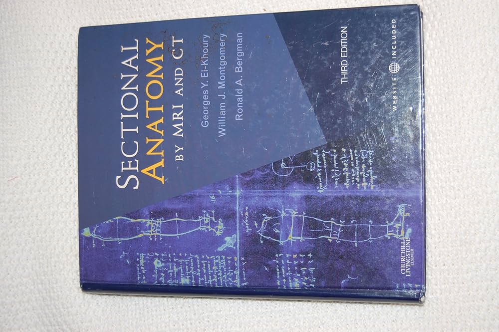 健康・医学 MRI ARTHROSCOPY and SURGICAL ANATOMY Sectional Anatomy