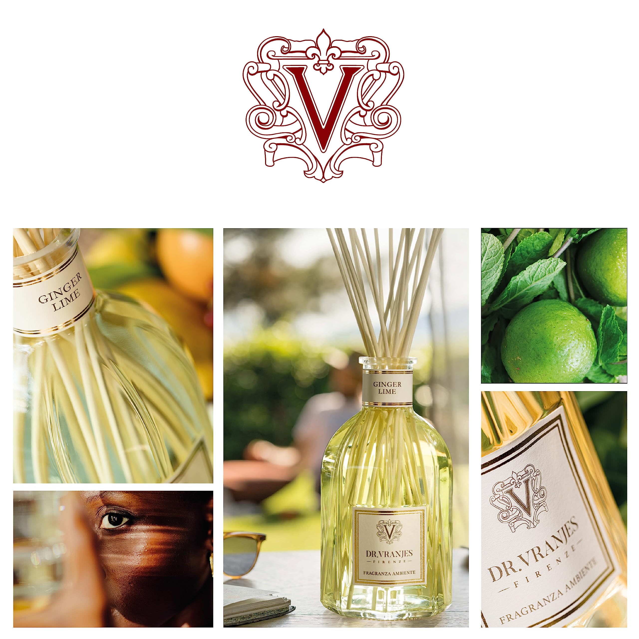 Amazon.co.jp: 【直営】DR. VRANJES –ドットール・ヴラニエス GINGER