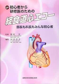 91AK6mBLG-L._AC_UF350,