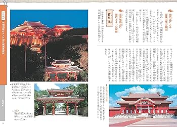 91BP8lONkpL._AC_UF350,