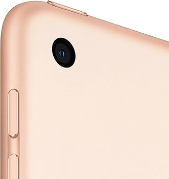 Amazon.com : Apple iPad (10.2-inch, Wi-Fi, 32GB) - Gold (Latest