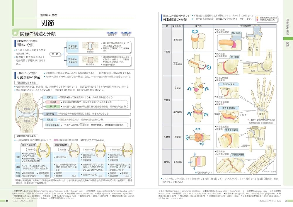 病気がみえるvol.11 運動器・整形外科 | 医療情報科学研究所 |本