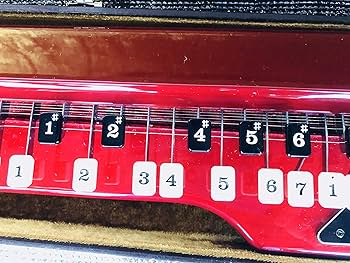 Amazon | スズキ電気大正琴「蘭」ソプラノ セミハードケース付 中古