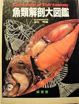 91UQXxgWsyL._AC_UF350,