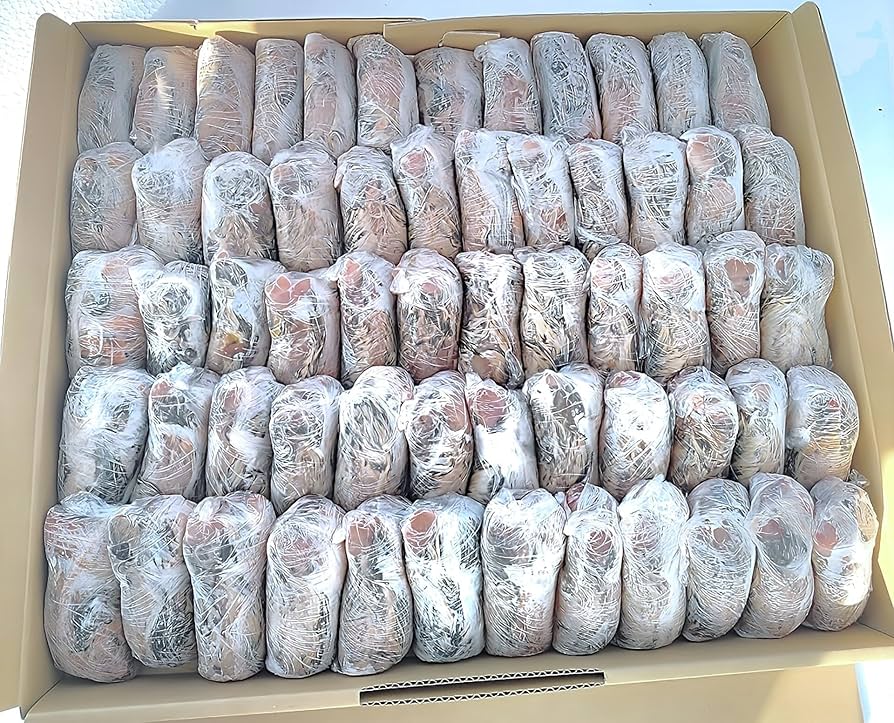 Amazon | フクロウ・タカ・ハヤブサ等の餌 冷凍ウズラ処理済 個包装