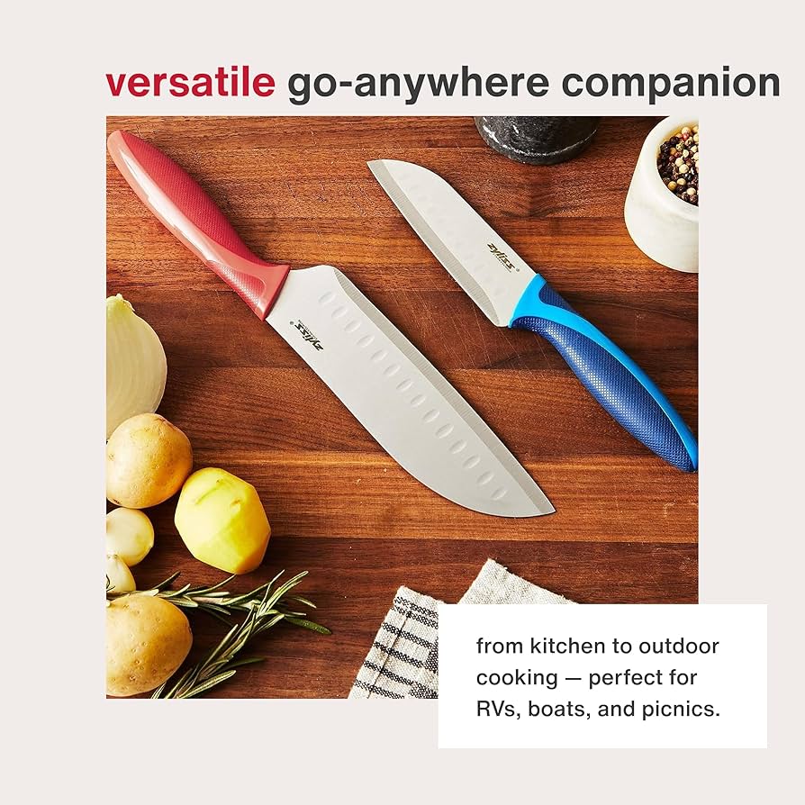 Amazon.com: ZYLISS 2 Piece Santoku Knife Set with Sheath Covers