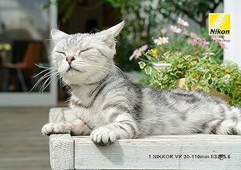 Amazon.co.jp: Nikon 望遠ズームレンズ 1 NIKKOR VR 30-110mm f/3.8