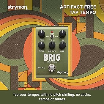 Amazon | Strymon/BRIG ブリッグ ディレイ ストライモン | ディレイ