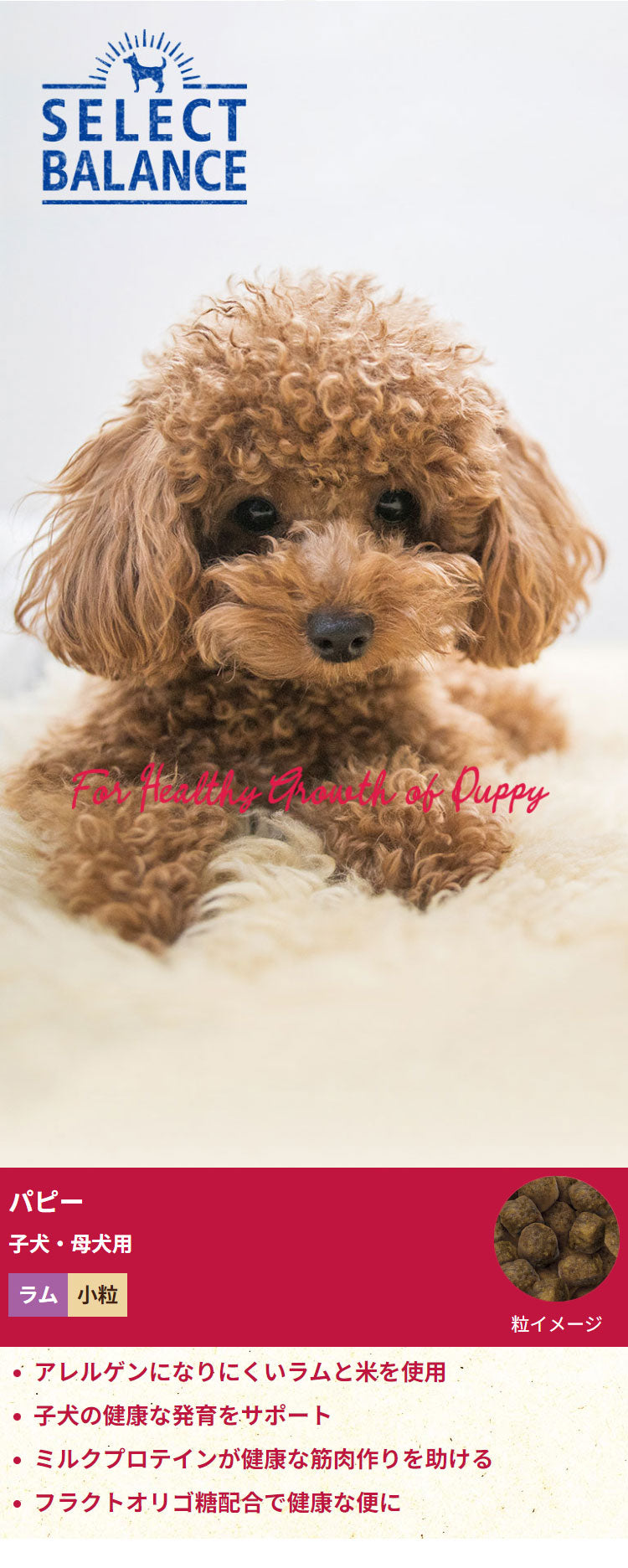 セレクトバランス パピー ラム 小粒 子犬・母犬用 7kg SELECT BALANCE