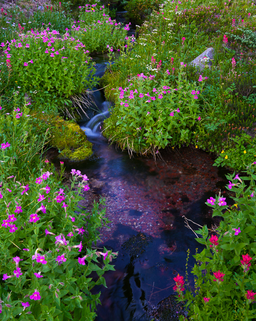 Three Sisters Wilderness, 