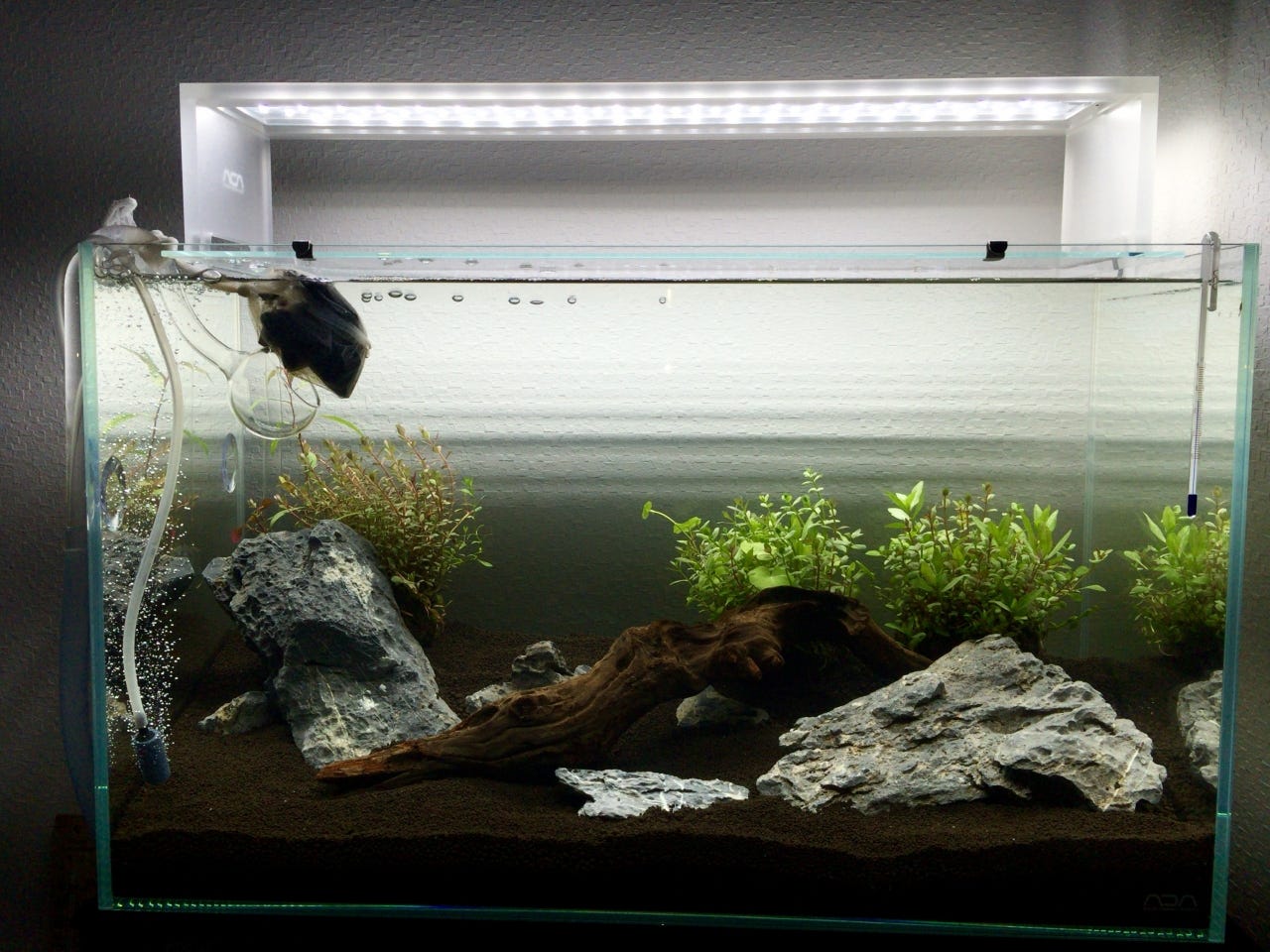 ADA アクアスカイ601中古 ADA アクアスカイ RGB 60美品